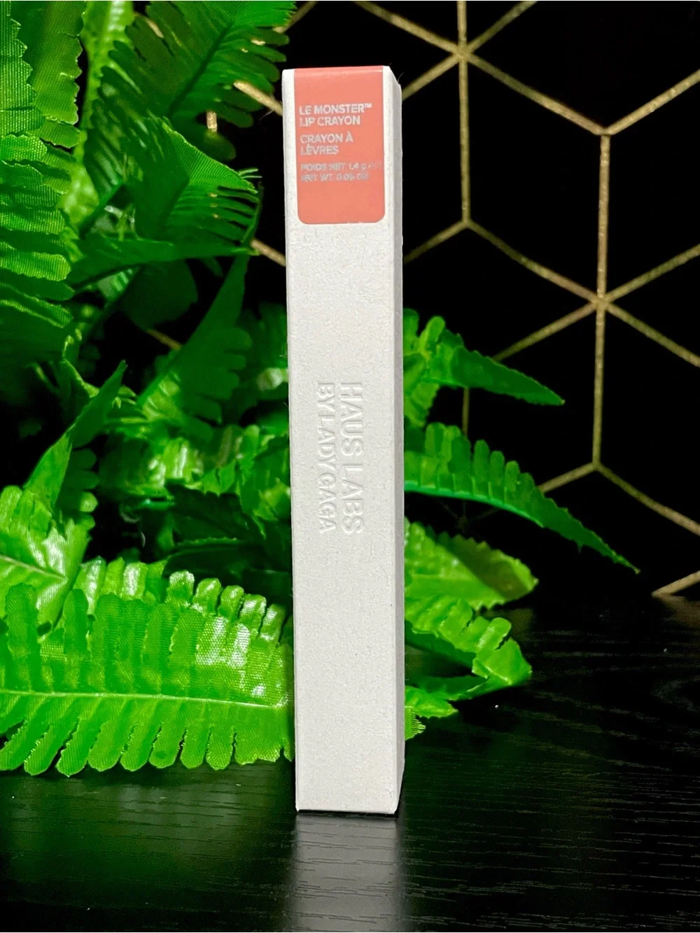 Haus Labs by Lady Gaga Le Monster Lip Crayon: Shade Blush Matte